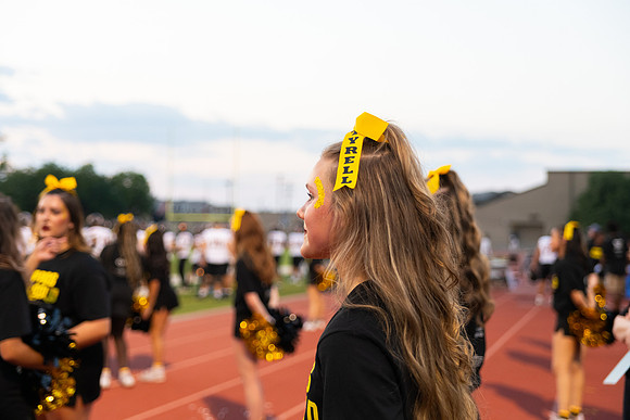 HHS Go Gold160
