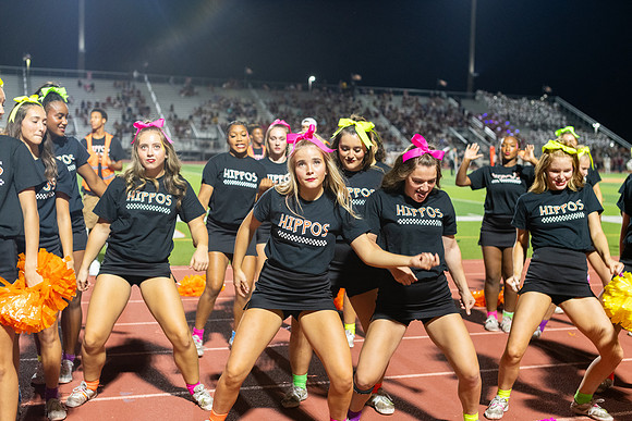 HHS Neon238