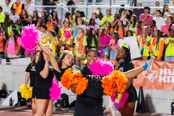 HHS Neon298