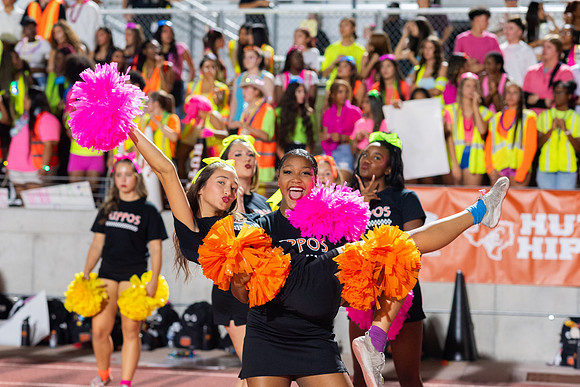 HHS Neon299