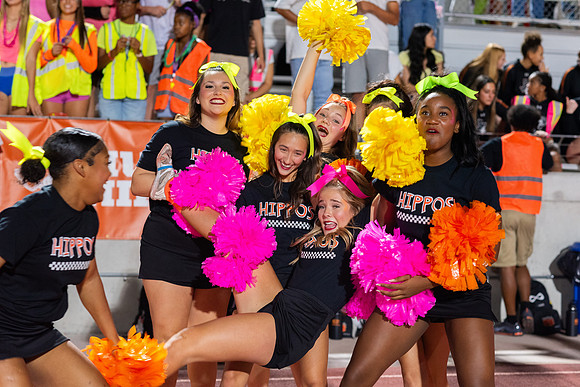 HHS Neon304