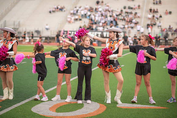 HHS Pink Out27