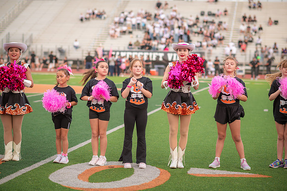 HHS Pink Out28