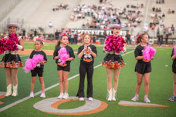 HHS Pink Out29