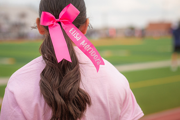 HHS Pink Out105