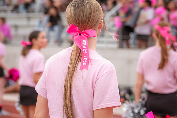 HHS Pink Out110