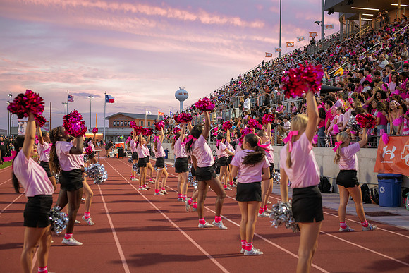 HHS Pink Out148