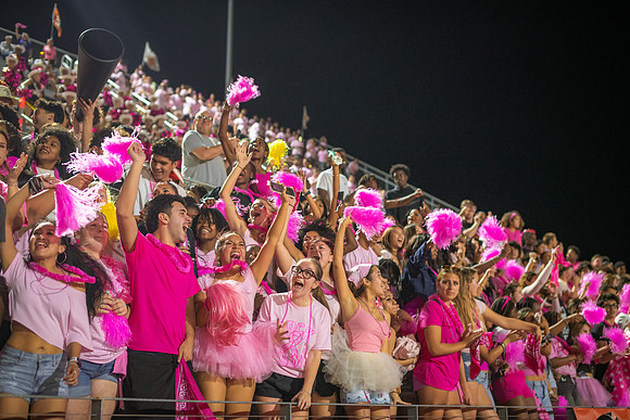 HHS Pink Out171