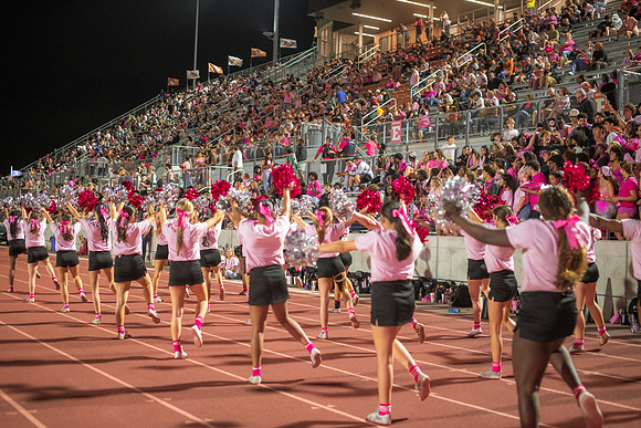 HHS Pink Out190