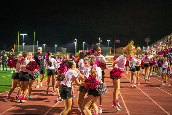 HHS Pink Out196