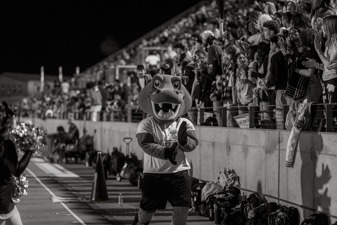C. Thompson Photography